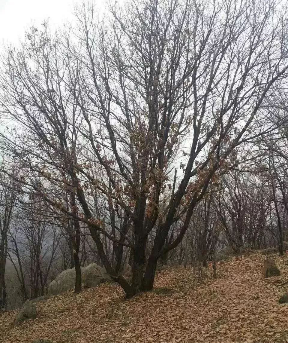 888.jpg 888.jpg